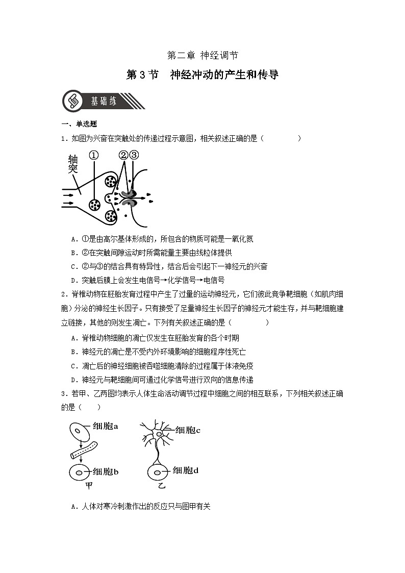 2.3+神经冲动的产生和传导（课件+教案+导学案+练习）-高二生物同步备课系列（人教版2019选择性必修1）01