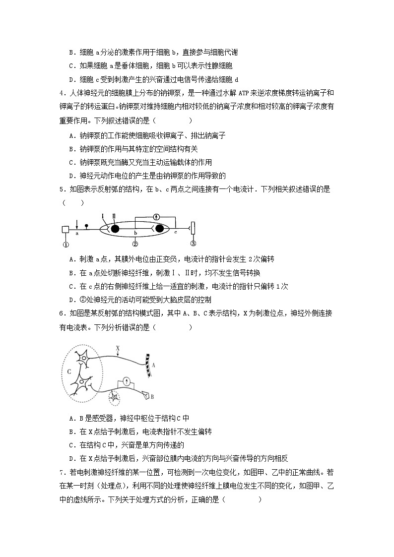 2.3+神经冲动的产生和传导（课件+教案+导学案+练习）-高二生物同步备课系列（人教版2019选择性必修1）02