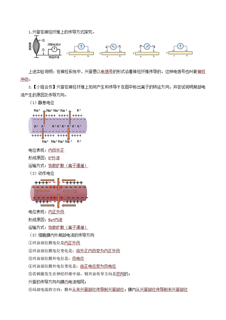 2.3+神经冲动的产生和传导（课件+教案+导学案+练习）-高二生物同步备课系列（人教版2019选择性必修1）02