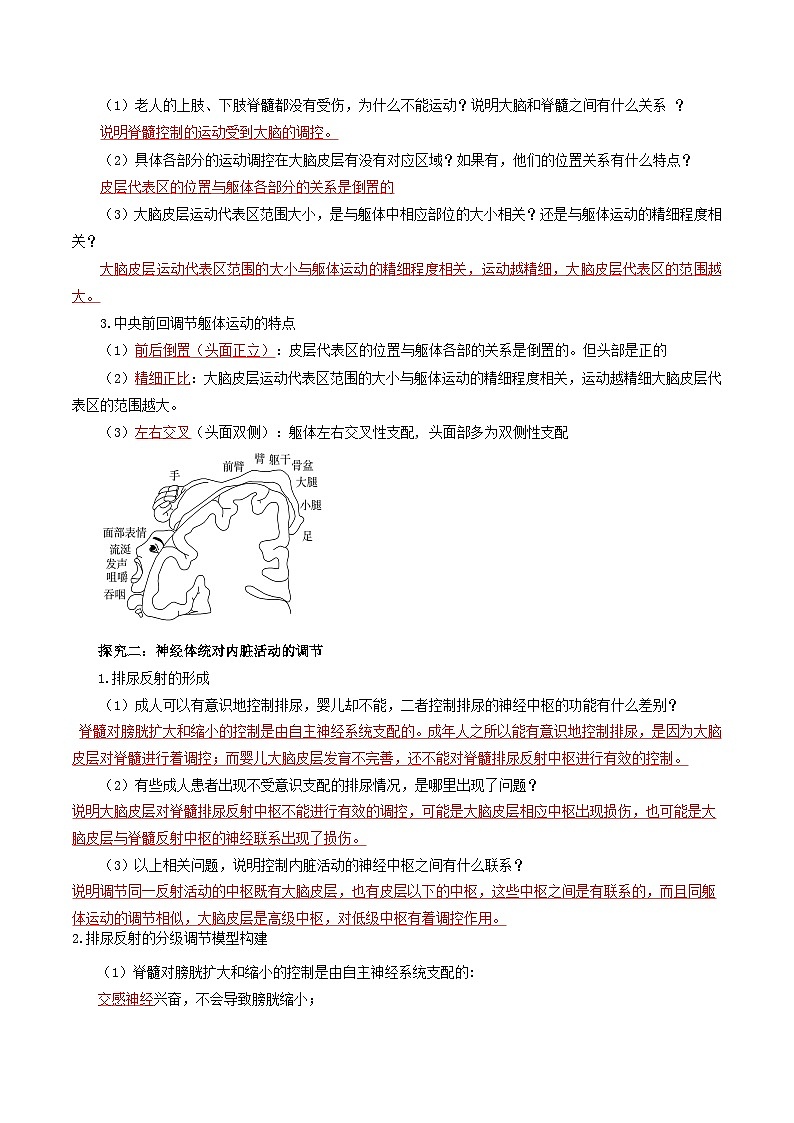 2.4+神经系统的分级调节（课件+教案+导学案+练习）-高二生物同步备课系列（人教版2019选择性必修1）02