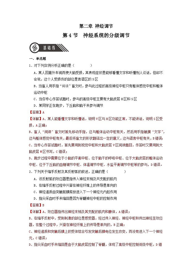 2.4+神经系统的分级调节（课件+教案+导学案+练习）-高二生物同步备课系列（人教版2019选择性必修1）01