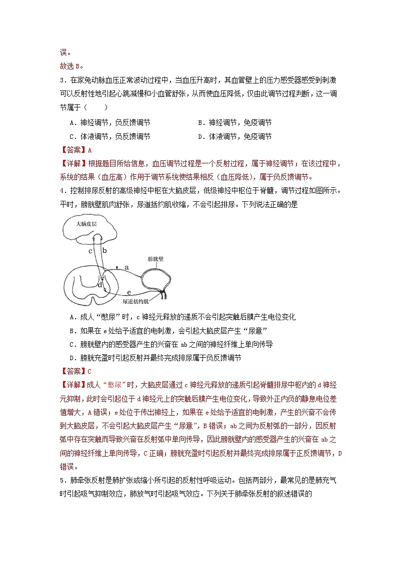2.4+神经系统的分级调节（课件+教案+导学案+练习）-高二生物同步备课系列（人教版2019选择性必修1）02