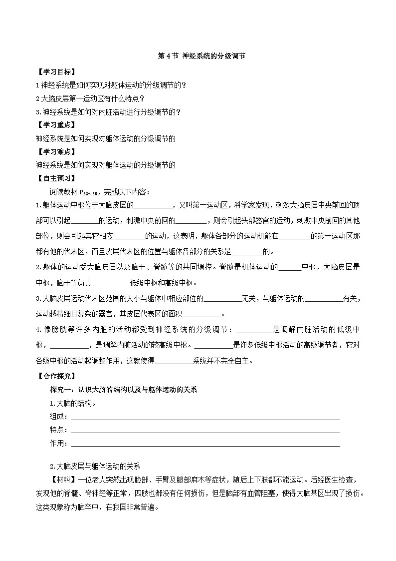 2.4+神经系统的分级调节（课件+教案+导学案+练习）-高二生物同步备课系列（人教版2019选择性必修1）01