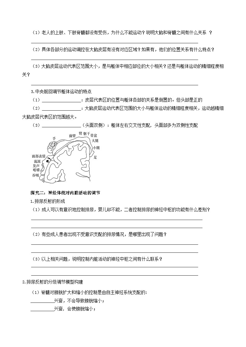 2.4+神经系统的分级调节（课件+教案+导学案+练习）-高二生物同步备课系列（人教版2019选择性必修1）02