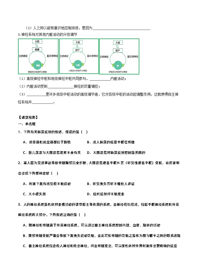 2.4+神经系统的分级调节（课件+教案+导学案+练习）-高二生物同步备课系列（人教版2019选择性必修1）03