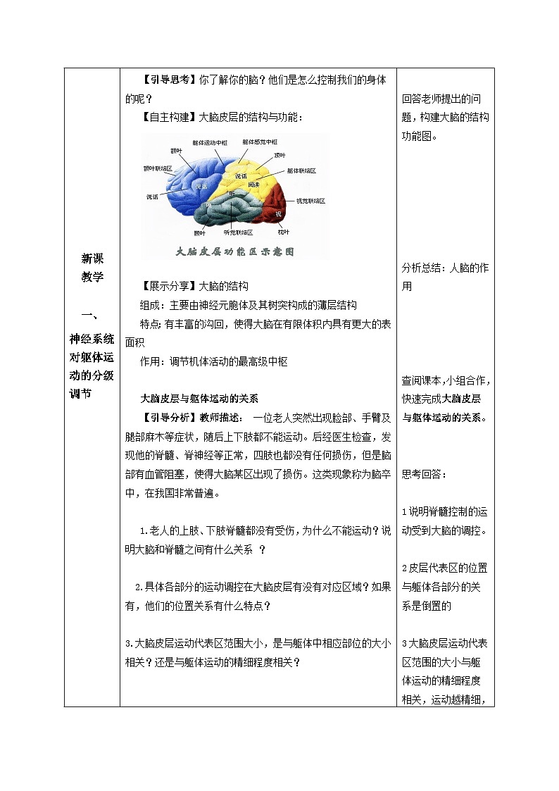 2.4+神经系统的分级调节（课件+教案+导学案+练习）-高二生物同步备课系列（人教版2019选择性必修1）02