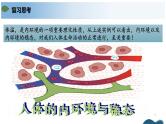 第一章+人体的内环境与稳态（单元复习课件+单元解读课件+单元知识清单+单元测试）-高二生物同步备课系列（人教版2019选择性必修1）