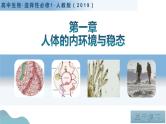 第一章+人体的内环境与稳态（单元复习课件+单元解读课件+单元知识清单+单元测试）-高二生物同步备课系列（人教版2019选择性必修1）