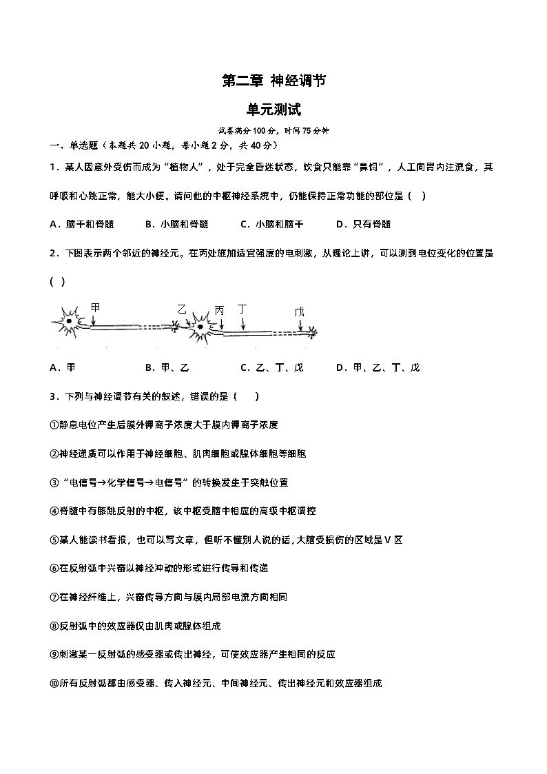 第二章+神经调节（单元复习课件+单元解读课件+单元知识清单+单元测试）-高二生物同步备课系列（人教版2019选择性必修1）01