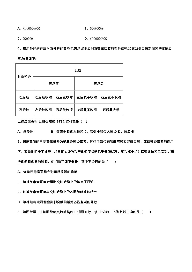 第二章+神经调节（单元复习课件+单元解读课件+单元知识清单+单元测试）-高二生物同步备课系列（人教版2019选择性必修1）02