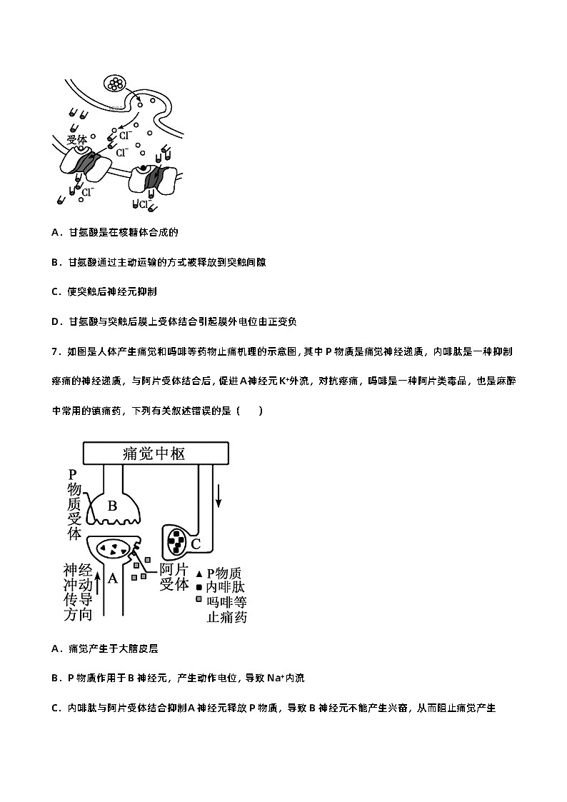 第二章+神经调节（单元复习课件+单元解读课件+单元知识清单+单元测试）-高二生物同步备课系列（人教版2019选择性必修1）03