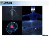 第二章+神经调节（单元复习课件+单元解读课件+单元知识清单+单元测试）-高二生物同步备课系列（人教版2019选择性必修1）