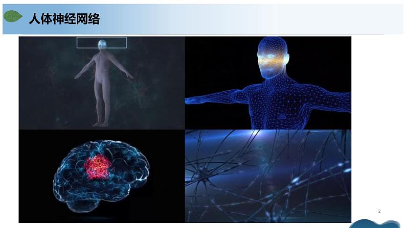 第二章+神经调节（单元复习课件）-高二生物同步备课系列（人教版2019选择性必修1）第2页