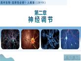 第二章+神经调节（单元复习课件+单元解读课件+单元知识清单+单元测试）-高二生物同步备课系列（人教版2019选择性必修1）