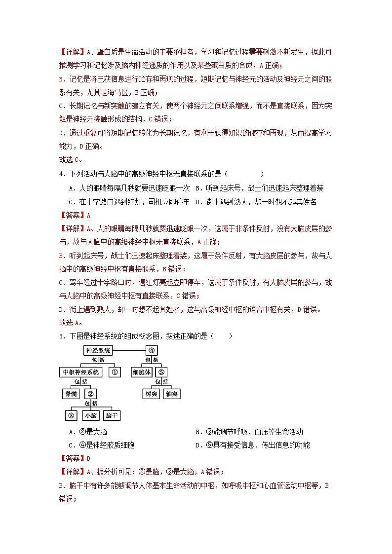 2.5 人脑的高级功能（分层作业）（解析版）第2页