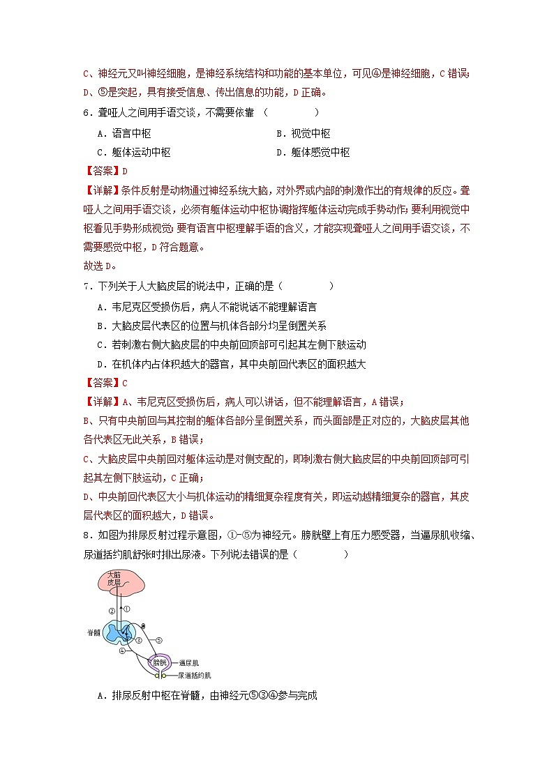 2.5 人脑的高级功能（分层作业）（解析版）第3页
