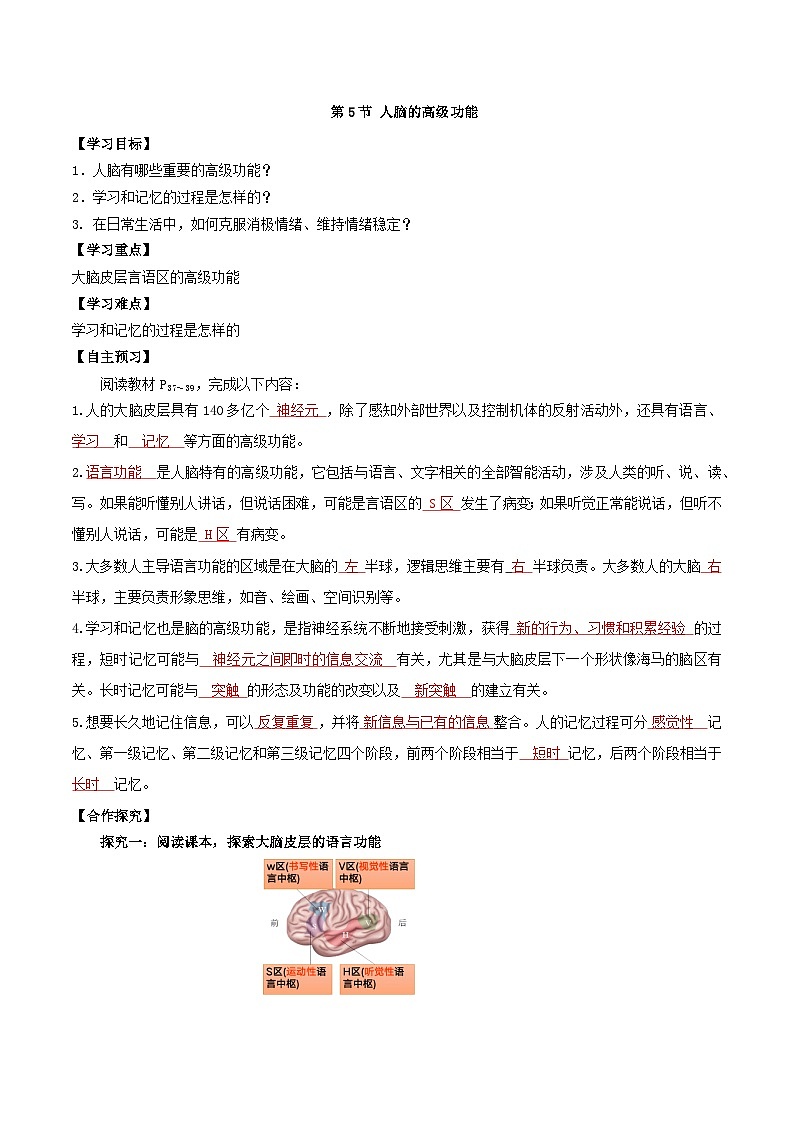 2.5 人脑的高级功能（导学案）（解析版）第1页