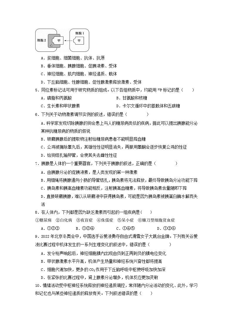 3.1+激素与内分泌系统（课件+教案+导学案+练习）-高二生物同步备课系列（人教版2019选择性必修1）02