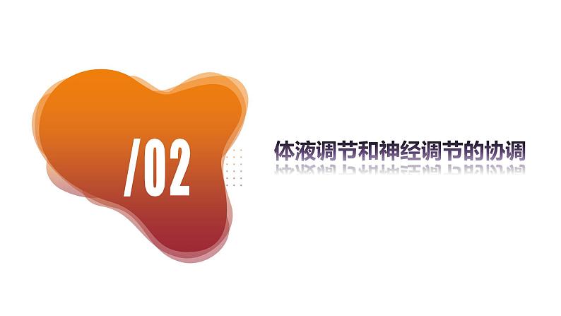 3.3 体液调节与神经调节的关系（课件+教案+导学案+练习）-高二生物同步备课系列（人教版2019选择性必修1）07