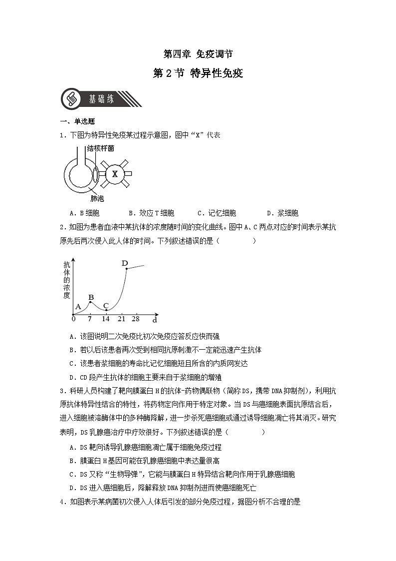 4.2+特异性免疫（课件+教案+导学案+练习）-高二生物同步备课系列（人教版2019选择性必修1）01