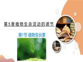 5.1+植物生长素（课件+教案+导学案+练习）-高二生物同步备课系列（人教版2019选择性必修1）