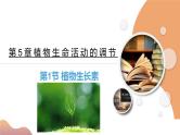 5.1+植物生长素（课件+教案+导学案+练习）-高二生物同步备课系列（人教版2019选择性必修1）