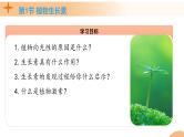 5.1+植物生长素（课件+教案+导学案+练习）-高二生物同步备课系列（人教版2019选择性必修1）