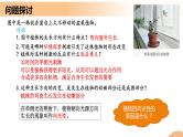 5.1+植物生长素（课件+教案+导学案+练习）-高二生物同步备课系列（人教版2019选择性必修1）