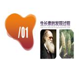 5.1+植物生长素（课件+教案+导学案+练习）-高二生物同步备课系列（人教版2019选择性必修1）