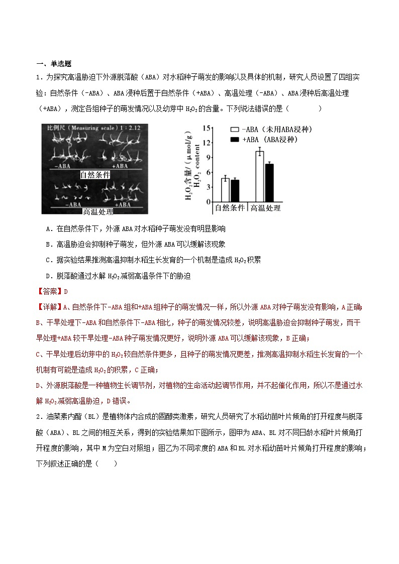 5.2+其他植物激素（课件+教案+导学案+练习）-高二生物同步备课系列（人教版2019选择性必修1）03