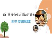 5.2+其他植物激素（课件+教案+导学案+练习）-高二生物同步备课系列（人教版2019选择性必修1）