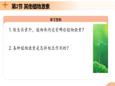 5.2+其他植物激素（课件+教案+导学案+练习）-高二生物同步备课系列（人教版2019选择性必修1）