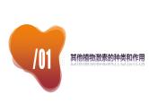 5.2+其他植物激素（课件+教案+导学案+练习）-高二生物同步备课系列（人教版2019选择性必修1）