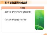 5.3+植物生长调节剂的应用（课件+教案+导学案+练习）-高二生物同步备课系列（人教版2019选择性必修1）
