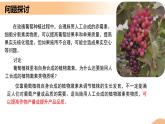 5.3+植物生长调节剂的应用（课件+教案+导学案+练习）-高二生物同步备课系列（人教版2019选择性必修1）