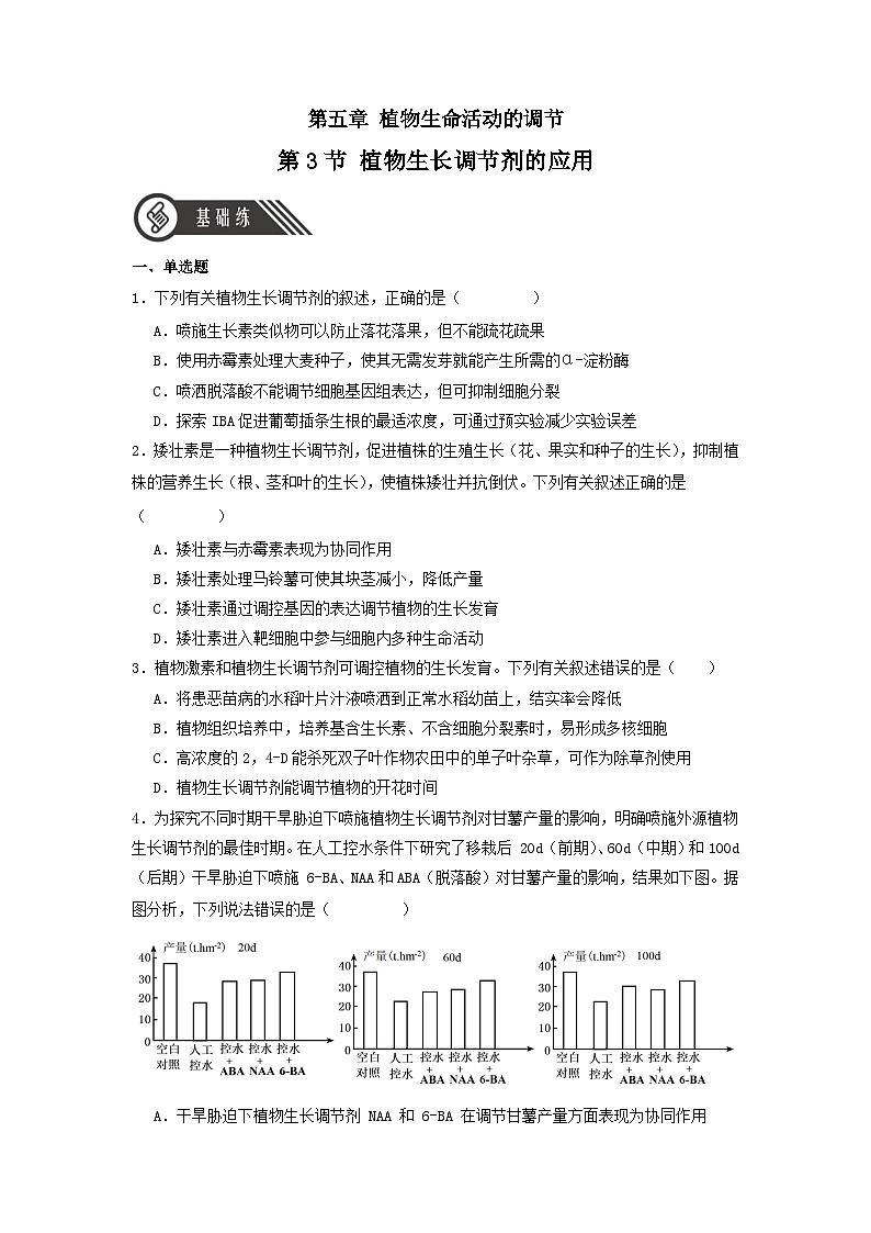 5.3+植物生长调节剂的应用（课件+教案+导学案+练习）-高二生物同步备课系列（人教版2019选择性必修1）01