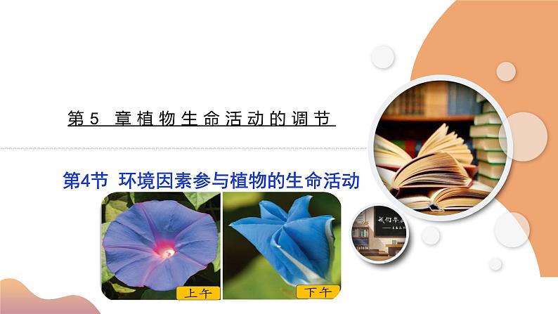 5.4+环境因素参与调节植物的生命活动（课件+教案+导学案+练习）-高二生物同步备课系列（人教版2019选择性必修1）01