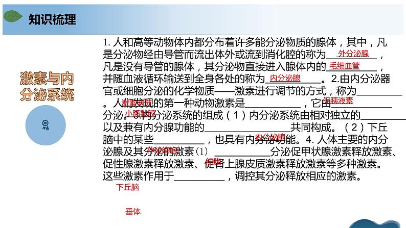 第三章 体液调节（单元复习课件+单元解读课件+单元知识清单+单元测试）-高二生物同步备课系列（人教版2019选择性必修1）07