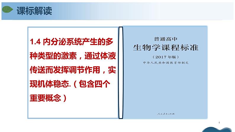 第三章 体液调节（单元复习课件+单元解读课件+单元知识清单+单元测试）-高二生物同步备课系列（人教版2019选择性必修1）04