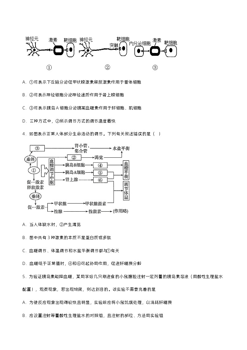 第三章 体液调节（单元复习课件+单元解读课件+单元知识清单+单元测试）-高二生物同步备课系列（人教版2019选择性必修1）02