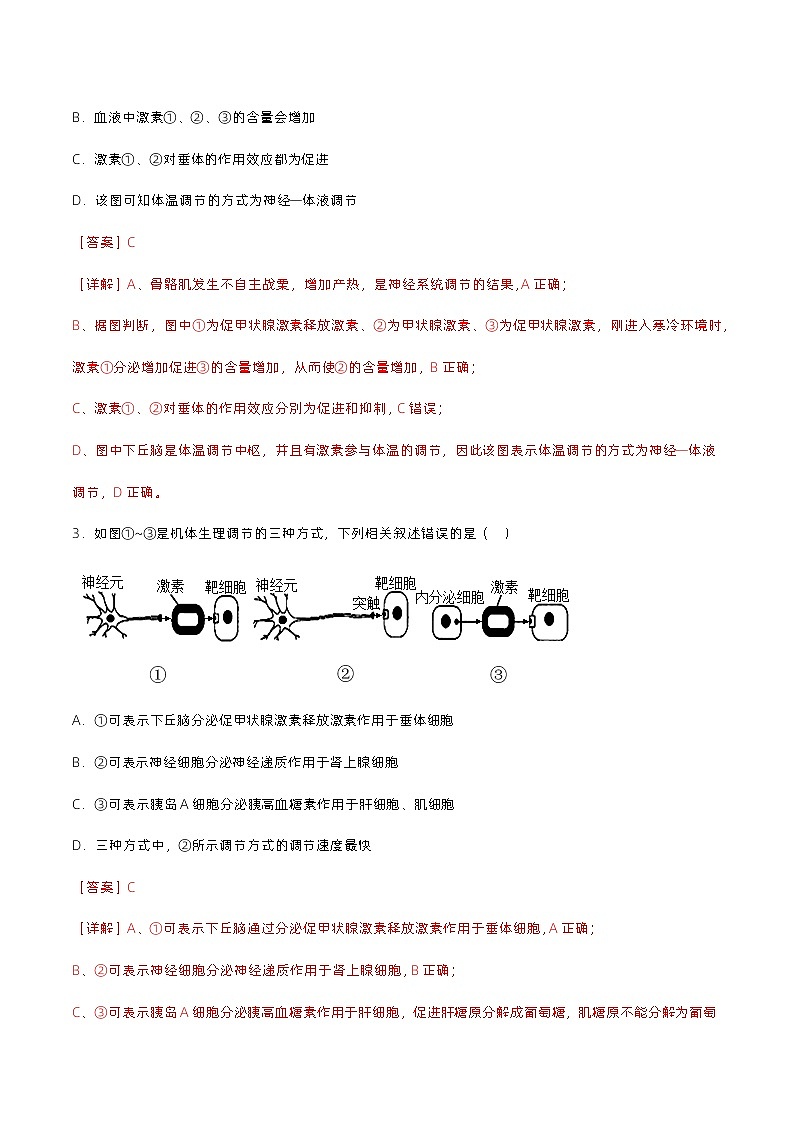 第三章 体液调节（单元复习课件+单元解读课件+单元知识清单+单元测试）-高二生物同步备课系列（人教版2019选择性必修1）02