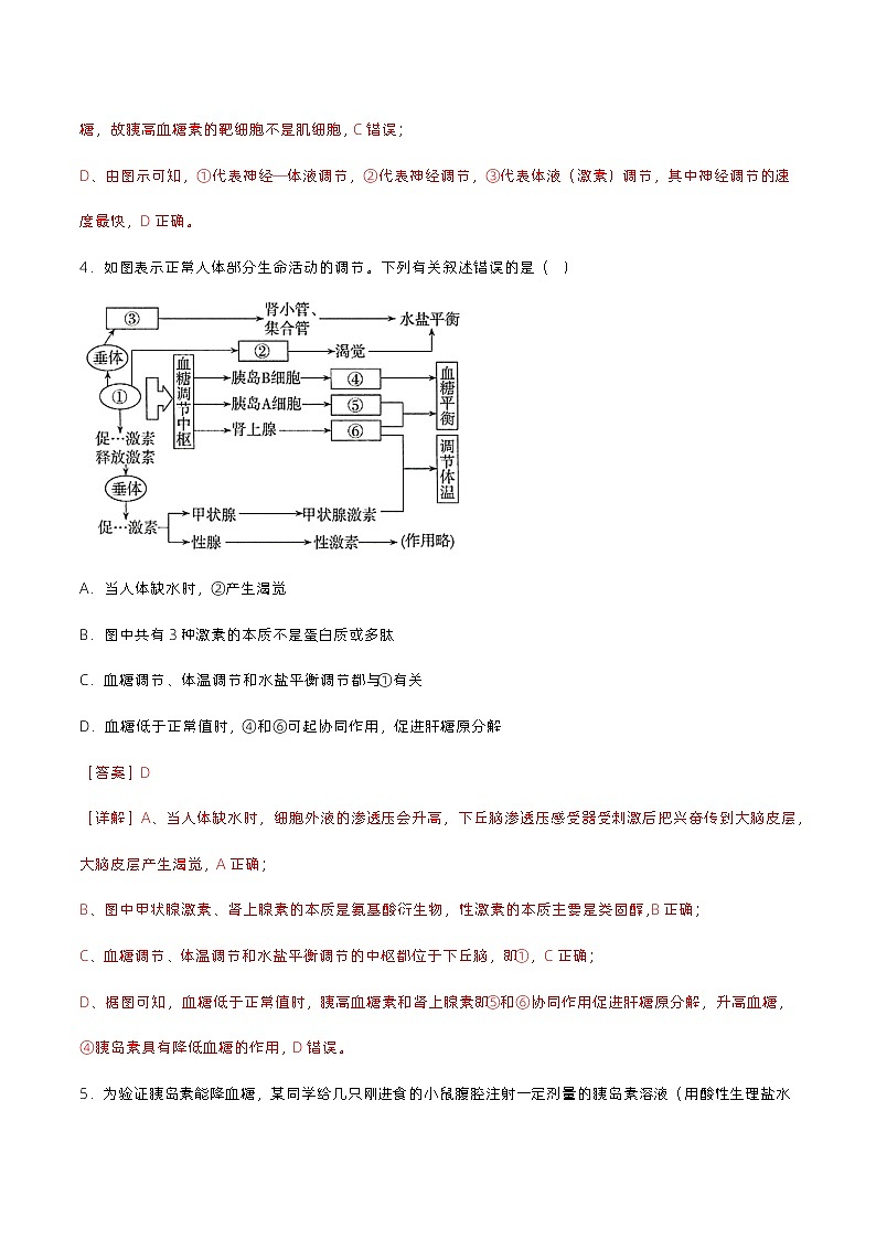 第三章 体液调节（单元复习课件+单元解读课件+单元知识清单+单元测试）-高二生物同步备课系列（人教版2019选择性必修1）03