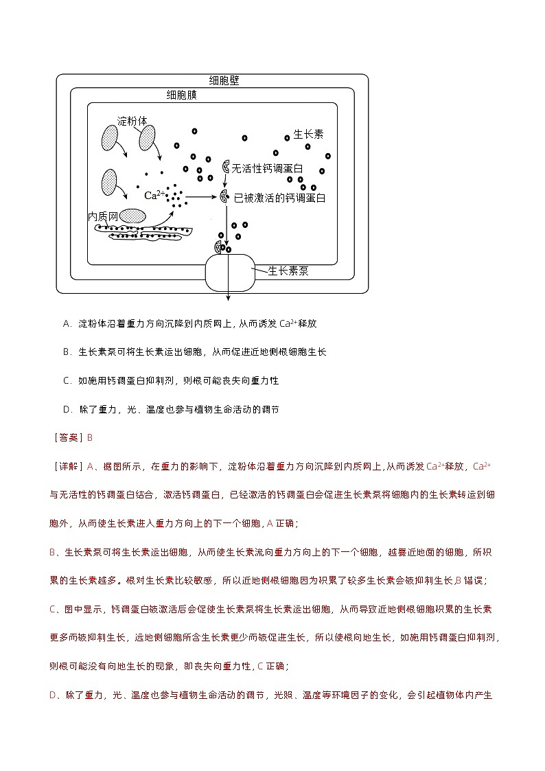 第五章 植物生命活动的调节（单元复习课件+单元解读课件+单元知识清单+单元测试）-高二生物同步备课系列（人教版2019选择性必修1）03