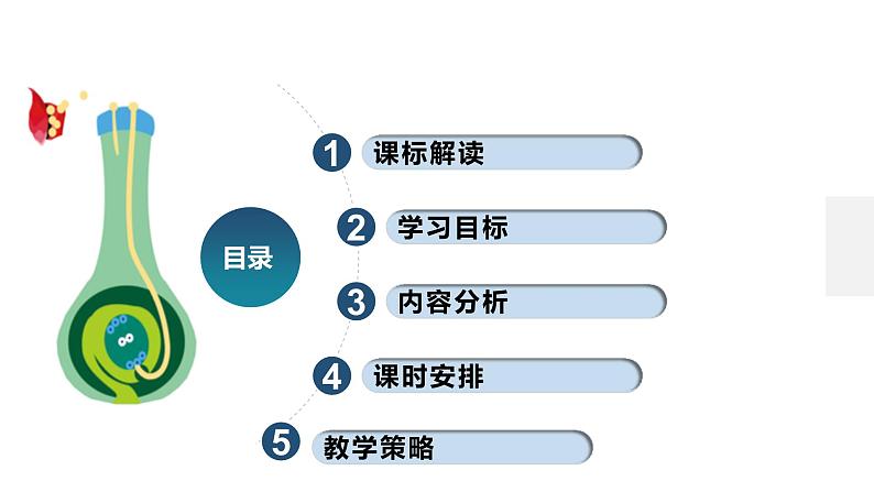 第五章 植物生命活动的调节（单元复习课件+单元解读课件+单元知识清单+单元测试）-高二生物同步备课系列（人教版2019选择性必修1）03