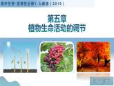 第五章 植物生命活动的调节（单元复习课件+单元解读课件+单元知识清单+单元测试）-高二生物同步备课系列（人教版2019选择性必修1）