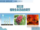 第五章 植物生命活动的调节（单元复习课件+单元解读课件+单元知识清单+单元测试）-高二生物同步备课系列（人教版2019选择性必修1）