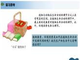 第五章 植物生命活动的调节（单元复习课件+单元解读课件+单元知识清单+单元测试）-高二生物同步备课系列（人教版2019选择性必修1）