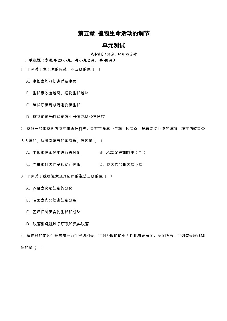 第五章 植物生命活动的调节（单元复习课件+单元解读课件+单元知识清单+单元测试）-高二生物同步备课系列（人教版2019选择性必修1）01
