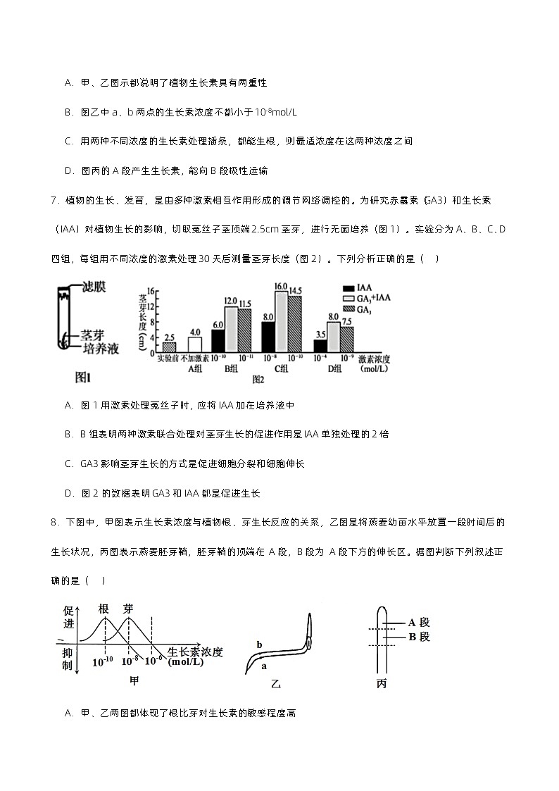 第五章 植物生命活动的调节（单元复习课件+单元解读课件+单元知识清单+单元测试）-高二生物同步备课系列（人教版2019选择性必修1）03