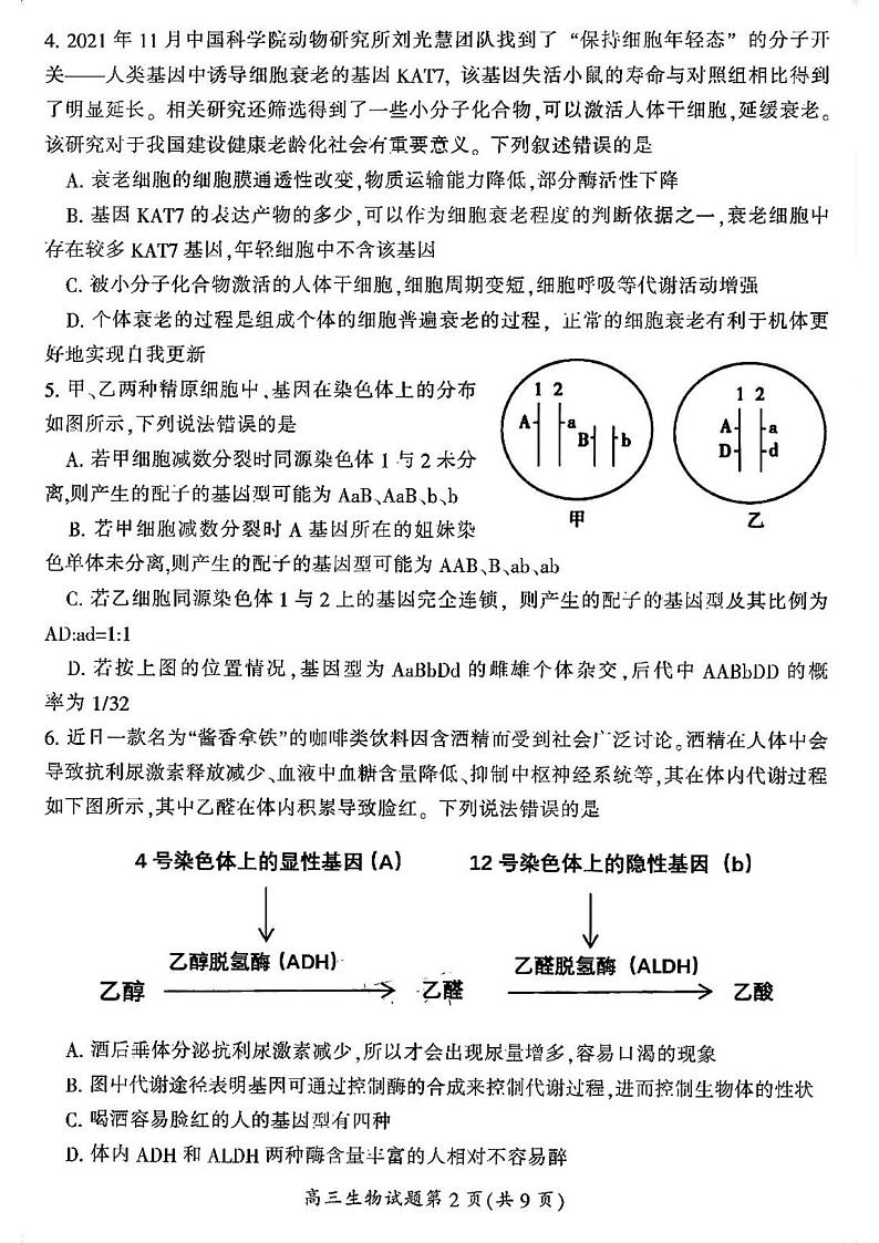 湖南省郴州市2024届高三第一次教学质量监测生物试题03